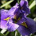 DSCN0064.JPG